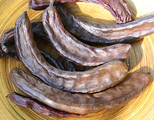 what-is-carob-the-best-kind-for-health-benefits