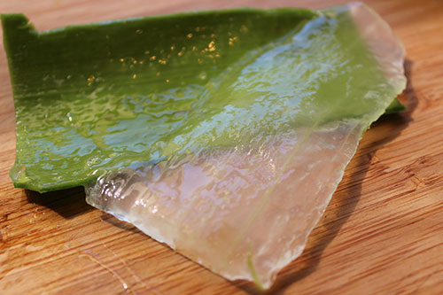 Aloe shop vera fillet