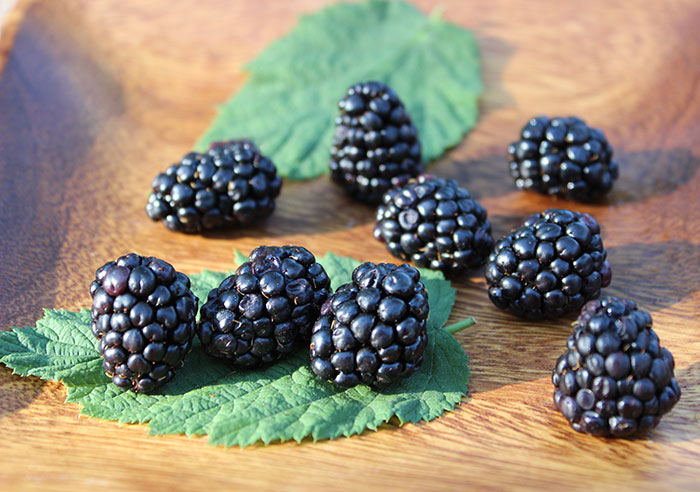 health-benefits-of-blackberries-top-reasons-to-eat-them