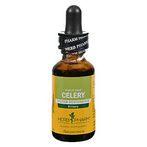 celery-seed-extract-herb-pharm