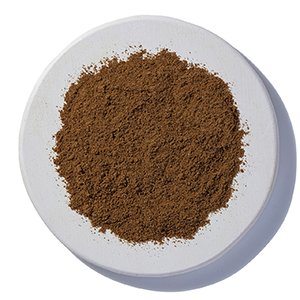 celery-seed-powder-starwest