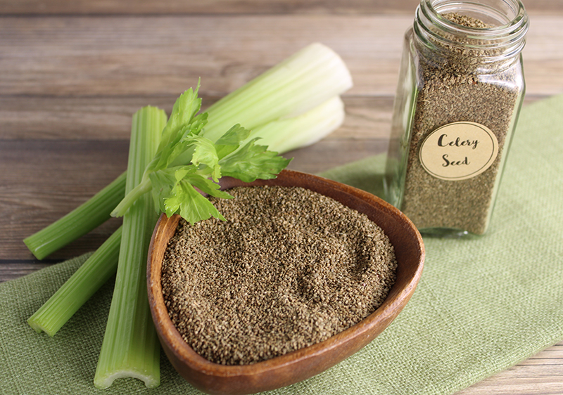 8 Things About Celery Seeds and Unique Uses