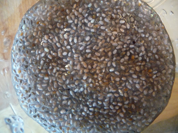 Chia Seeds for Sustained Energy and Hydration