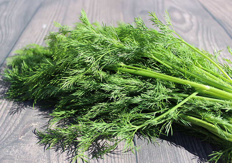 5 Uses Of Dill And Things About Dill Weed Vs Dill Seed