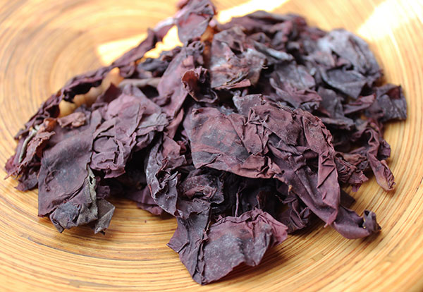 What is the Best Salt Substitute? Six Reasons Why Seaweed Granules