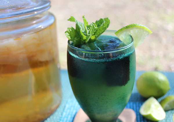 mushrooms is with kombucha made to Style Recipe, a How Kombucha Superfood Mojito Make Mojito