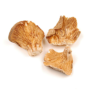 oyster-mushroom-dried-woodland
