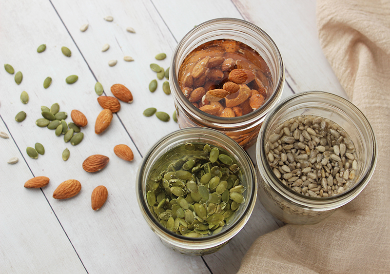 Soaking Nuts and Seeds + How to Dehydrate Them - The Home Intent