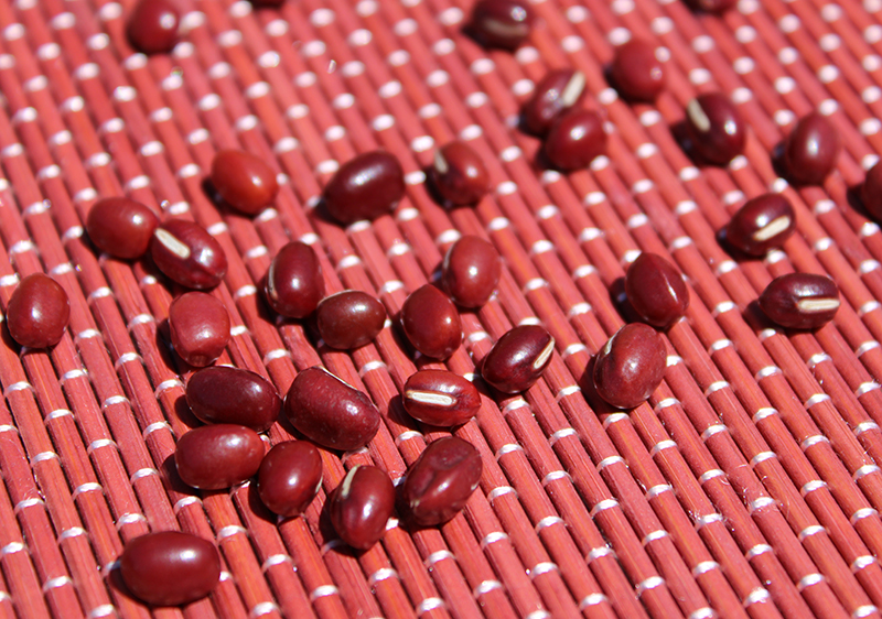 What are Adzuki Beans? Nutrition and Unusual Ways to Eat