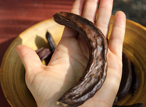 what-is-carob-the-best-kind-for-health-benefits