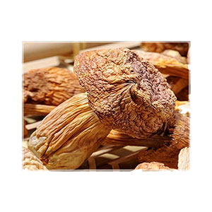 agaricus-blazei-dried-mushroom-330g-amazon