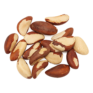 brazil-nuts-anna