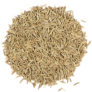 caraway-seed-mrh