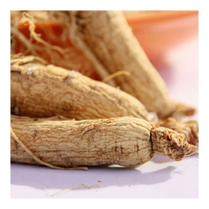 ginseng-org-white-jilin-plumdragon-herbs